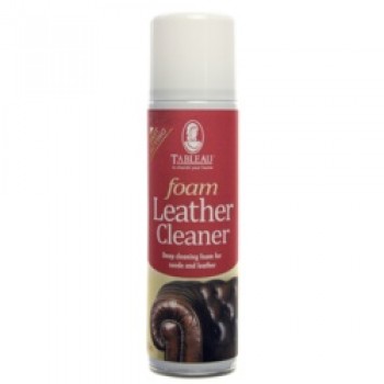 Leather Cleaning Foam - 250ml