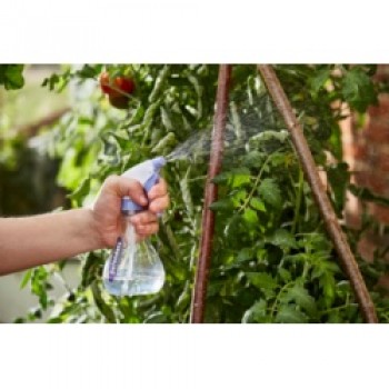 Multi Purpose Sprayer - 330ml