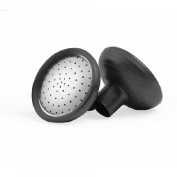 Watering Can Rose - Pack 2