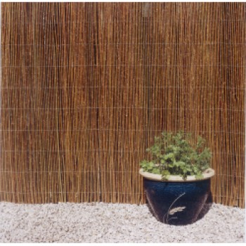 Willow Screening - 4m x 2m
