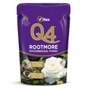 Q4 Rootmore - 250g
