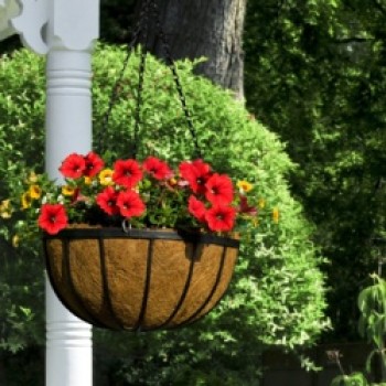 Flat Bar Hanging Basket - 14 Flat Bar Hanging Basket - 14