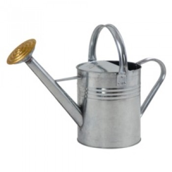 Galvanised Watering Can - 1 Gallon