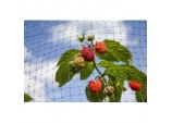 Fruit Cage Net - 16 x 2m