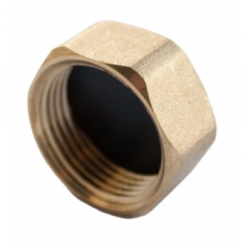 Compression Blanking Nut - 3/4